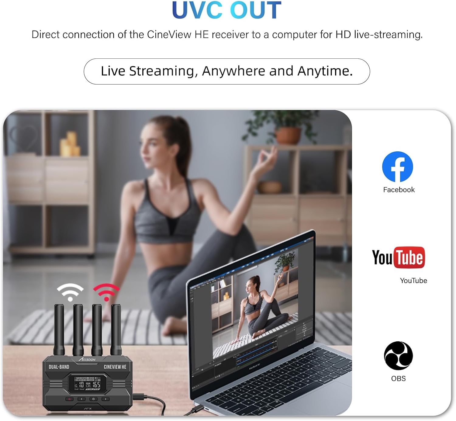 ACCSOON CineView HE HDMI Video - Home Cinema Wireless review and price