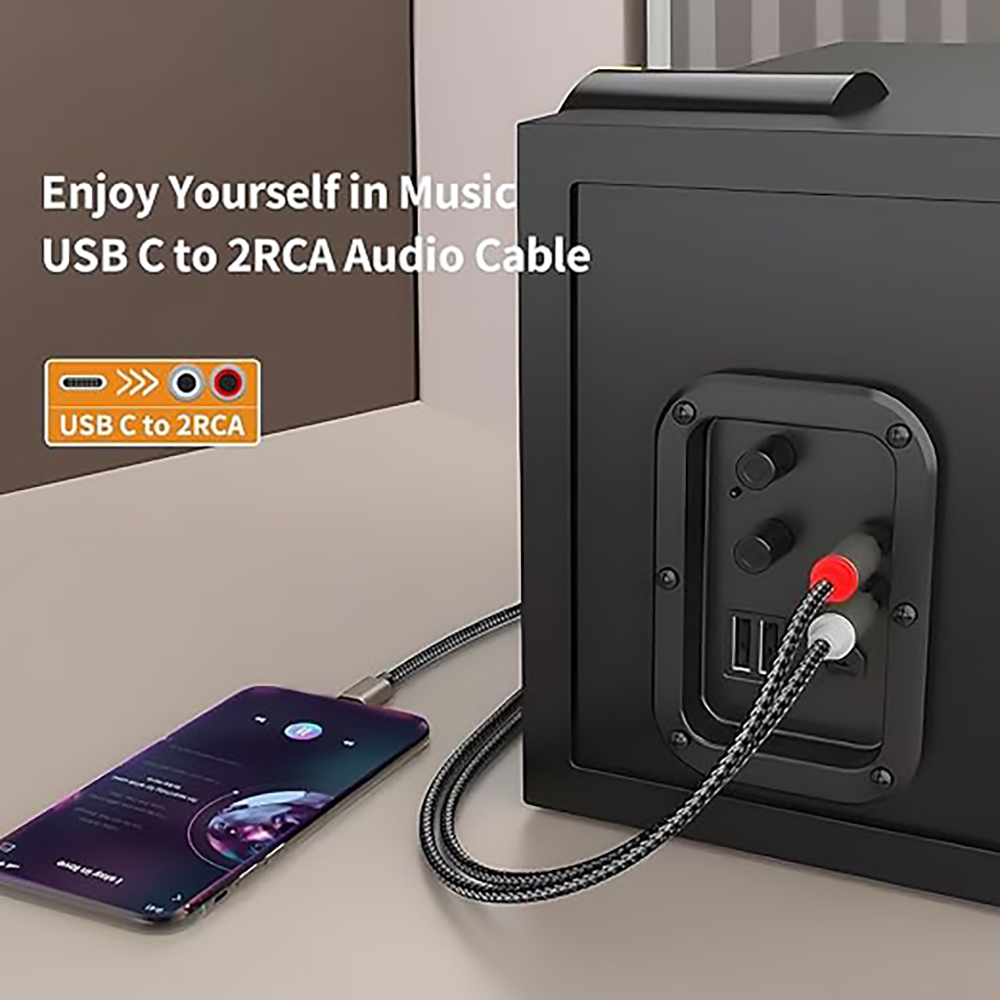 USB C to 2 RCA Audio Cable, Ty - Audio Home Cinema review and price